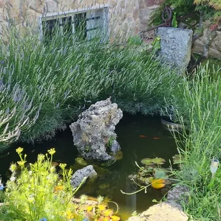 Apartamento A Guarda Apartment