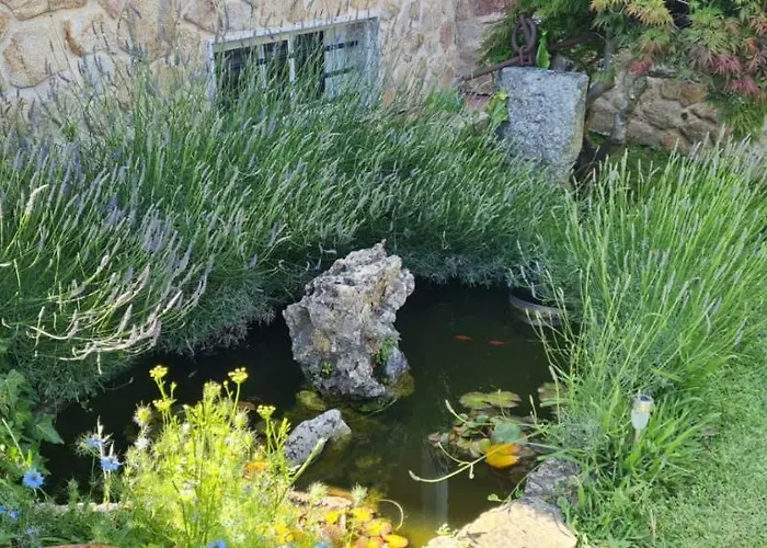 Apartamento A Guarda Daire